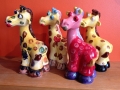 Giraffe Herd